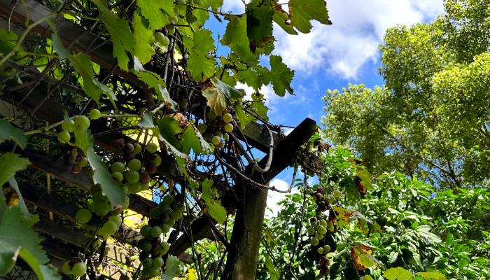 滬源醫(yī)藥銷售額達(dá)3.5億元人民幣